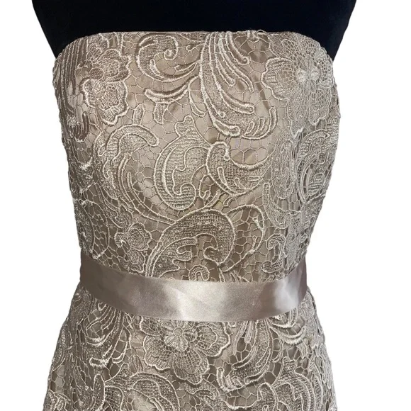 Adrianna Papell Boutique Women’s Sheath Dress Champagne Lace Over Lay Size 8 - Picture 3 of 10